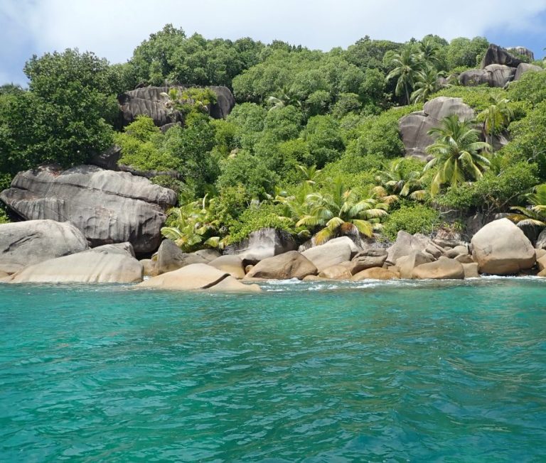 snorkeling near Coco Island