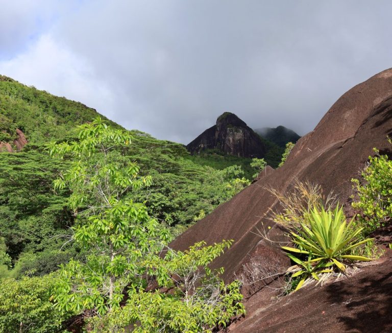 Anse Major Trail